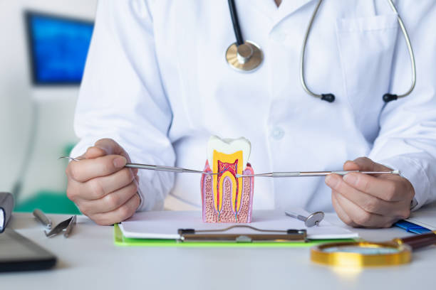Best Holiday Emergency Dentist in Severn, MD
